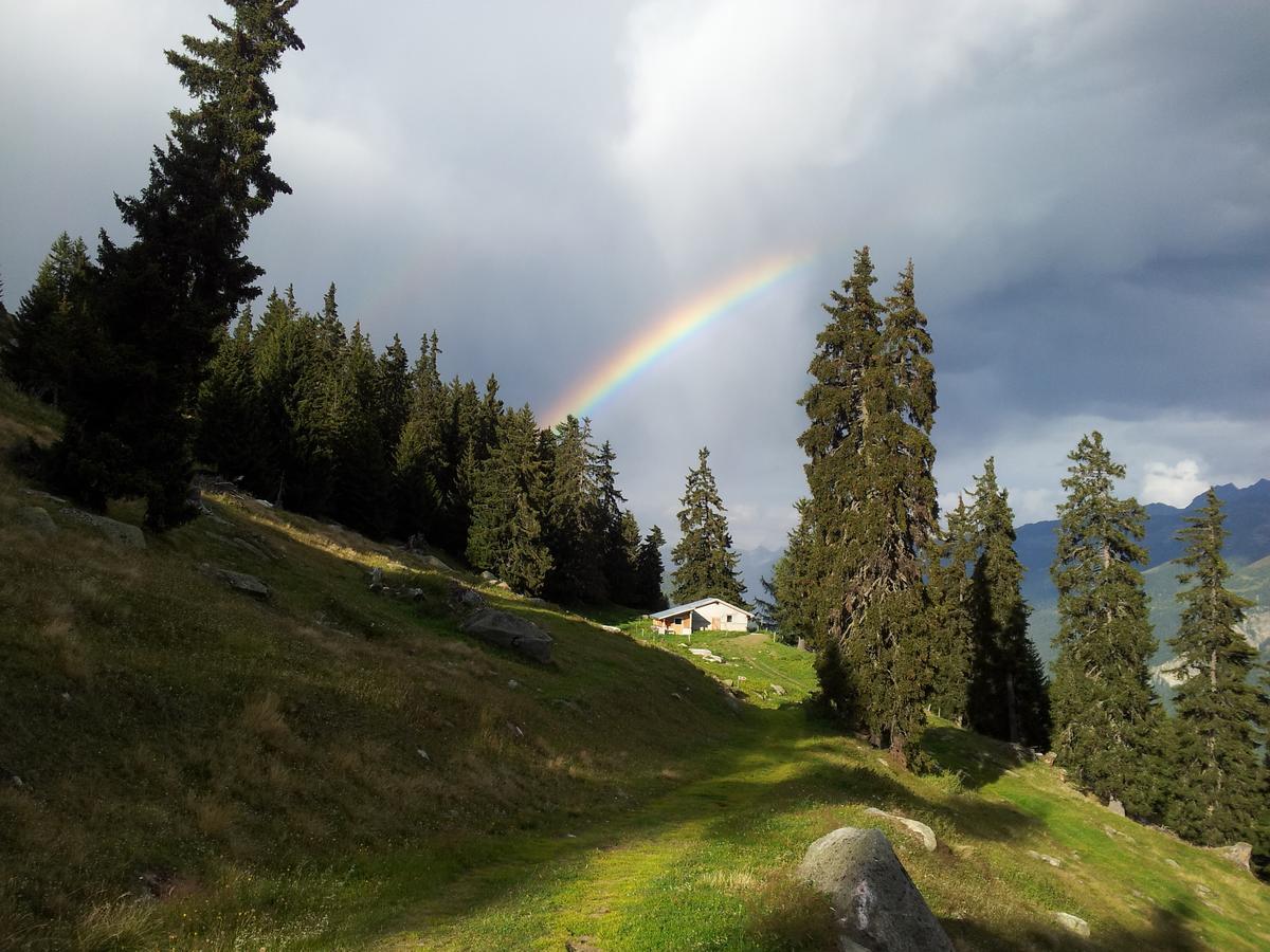 Alphuette Bielerchaeller Villa Fiesch Exterior photo